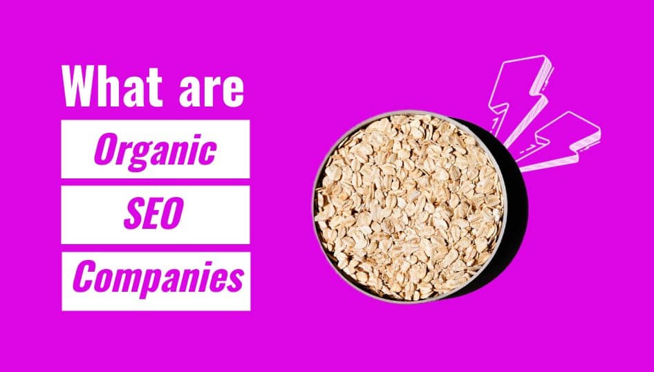 What are organic seo companies (2) (1)